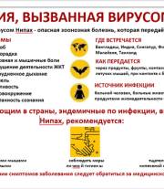Важная информация о вирусе Нипах